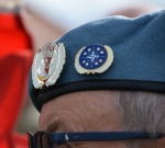 Veteran mærker.jpg